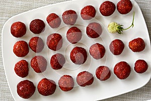 Fresh strawberries on a white plate. Singling out one from the crowd. Red and white strawberries. Collecting berries. Background