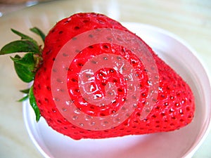 Fresh Strawberry