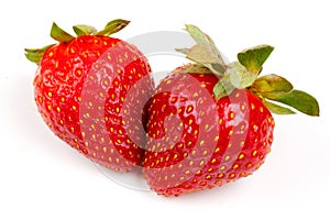 Fresh strawberry