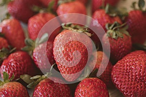 Fresh strawberry background. Close up view of red ripe strawberries.