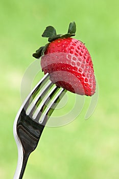 Fresh strawberry on a fork