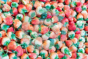 Fresh strawberry fruit