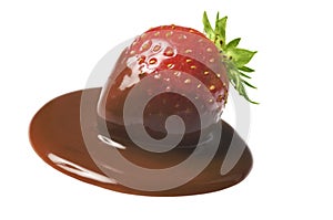 Fresh strawberry fruit in chocolate on white. A chocolate dipped ripe strawberry with green leaves isolated on white background.