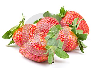 Fresh strawberry isolated