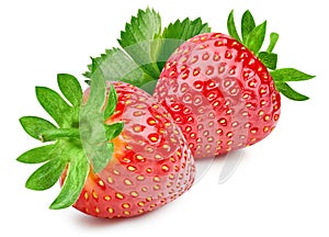 Fresh strawberry isolated on white background