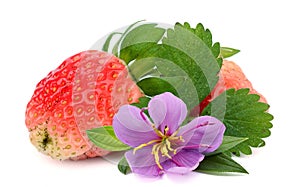 Fresh strawberry isolated on white. Studio macro.