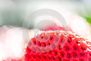 Fresh Strawberry with morning dew in natural backgrounds, look like a jewel. Beautiful bokeh with glittering. Organic farm. Close