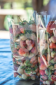 Fresh strawberry in plastic bag