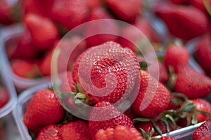 Fresh Strawberry Punnet. Organic Fruit Basket