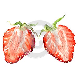 Fresh strawberry slice, half berry, isolated, watercolor illustration on white