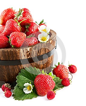 Fresh strawberry in wooden bucket with green leaf and flower