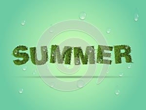Fresh summer background, grass and water drops.