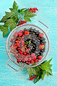 Fresh summer berries in a basket on turquoise background