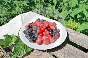 Fresh summer berries on plate.