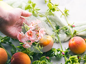 Fresh summer fruit concept still life