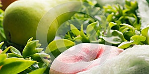 Fresh summer fruit concept still life