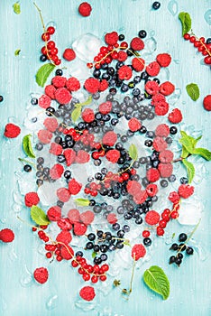 Fresh summer garden berry variety. Rasberry, black and red currant, bilberrry, mint on crushed ice over blue background