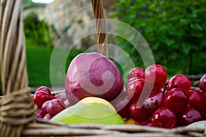 Fresh summer juicy fruit. Colorful home harvest of apples, pears and grapes in a wicker basket made from vine.