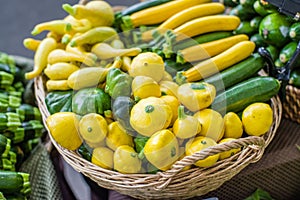 Fresh summer squash at the market