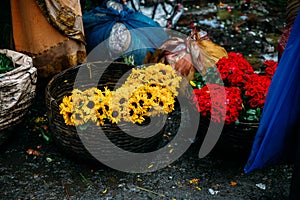 Fresh Sun Flowers and Roses in the basket for sell in the morning at Mullick Ghat flower market in Kolkata, India