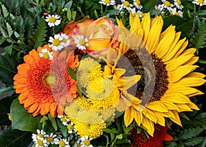 Fresh Sunflower Gerbera Mix Bouquet Yellow Orange Green for Greetings and Valentine Cards