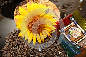 fresh sunflower seeds on a table sunflower flower