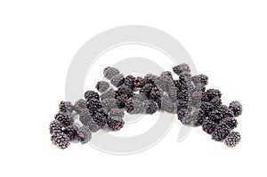 The fresh sweet blackberry looking like something
