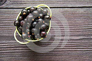 Fresh sweet blackcurrants in the bowl