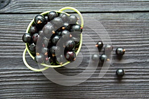 Fresh sweet blackcurrants in the bowl