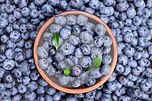 fresh sweet blueberry berries in a bowl