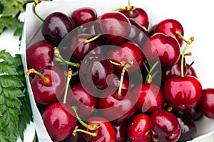 Fresh sweet cherries on the farmers market