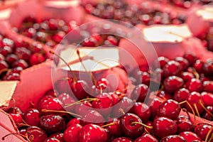 Fresh sweet cherries at street food market, close-up view