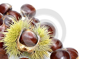 Fresh sweet chestnuts on pure white