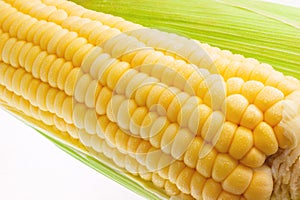 Fresh sweet corn