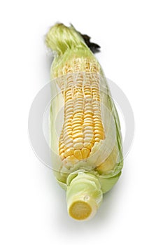 Fresh sweet corn isolated