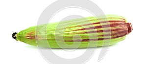 Fresh sweet corn, isolated on white