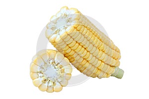 Fresh sweet corn isolated on white background