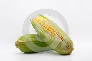 Fresh sweet corns with green leaves over white