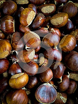 Fresh sweet edible chestnuts close-up