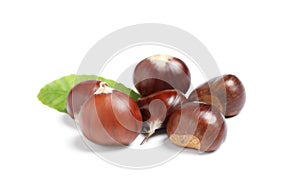 Fresh sweet edible chestnuts with green leaf on white background