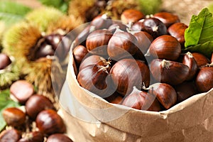 Fresh sweet edible chestnuts in paper bag, closeup