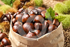 Fresh sweet edible chestnuts in paper bag, closeup