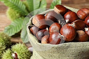 Fresh sweet edible chestnuts in sack, closeup