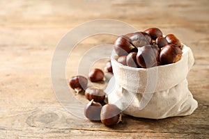 Fresh sweet edible chestnuts in sack on wooden table. Space for text