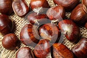 Fresh sweet edible chestnuts on sackcloth, closeup