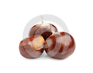 Fresh sweet edible chestnuts on white background