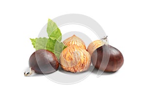 Fresh sweet edible chestnuts on white background