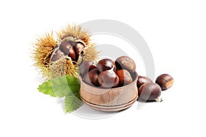 Fresh sweet edible chestnuts on white background