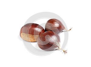 Fresh sweet edible chestnuts on white background