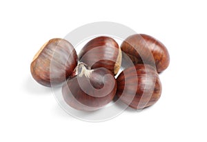 Fresh sweet edible chestnuts on white background